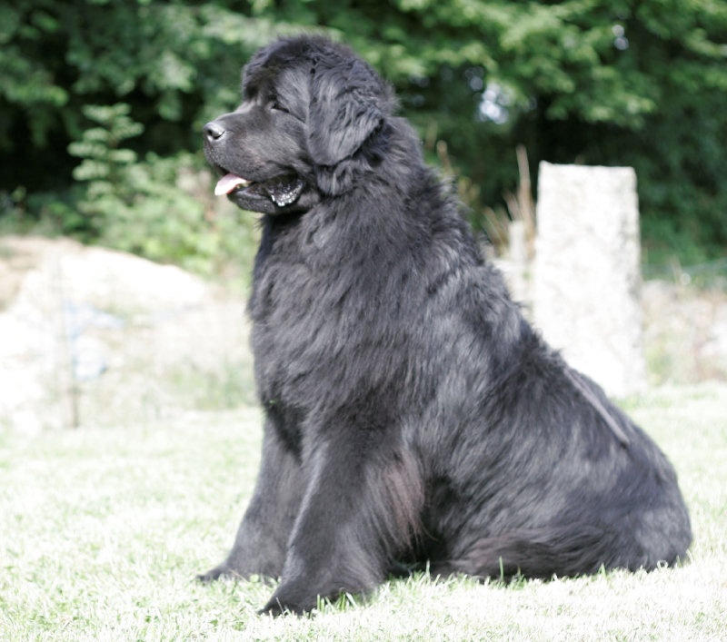 Fashion-gavroche Des sentiers normands