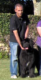 Black bear two Des sentiers normands
