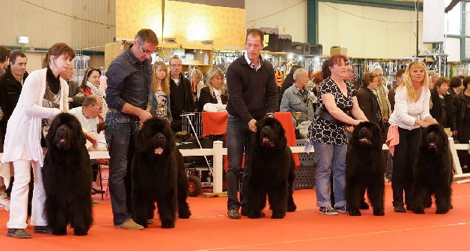 Expo de Châteauroux