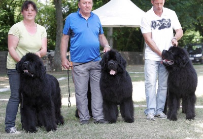 Des sentiers normands - 15/07/2013 - CAC de Maltot