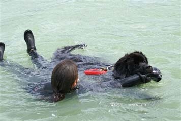 Travail à l'eau